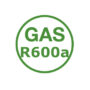 GasR600a GasR600a